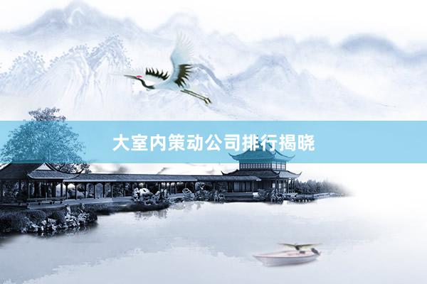 大室内策动公司排行揭晓